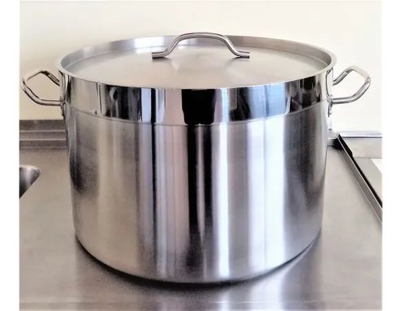 Lonac 44,5 lt sa poklopcem 450x280h Linea Cucina