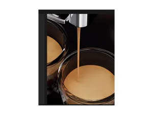 Kafe aparat Gaggia Anima CMF - slika 4