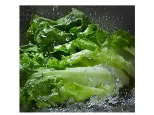 Mašina za pranje povrća Linea Cucina X100 - slika 5